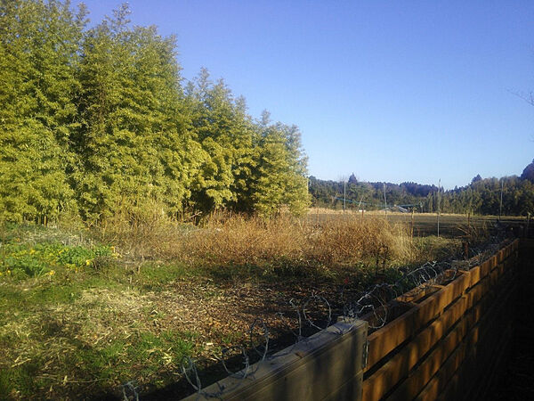 区画図：345000011169