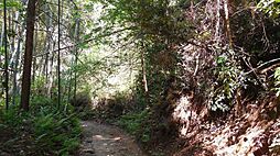 千葉県山武市野堀