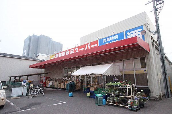 画像20:業務用食品スーパー　東雲店
