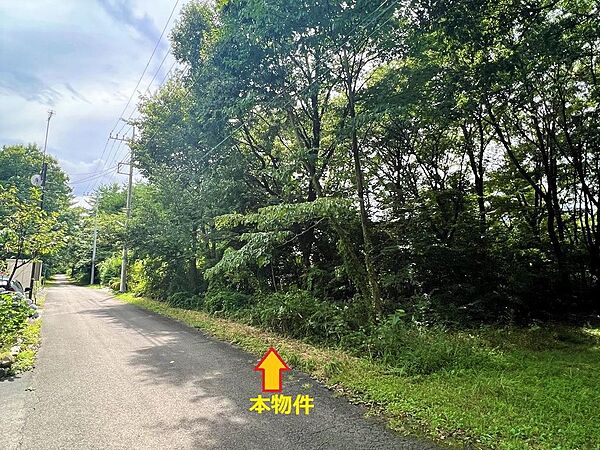 本物件は道路の右側　平坦地　現況は雑木林　道路は舗装路