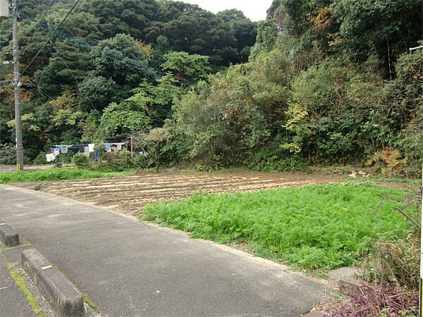 外観：341000026757