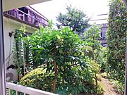 南側の眺望です