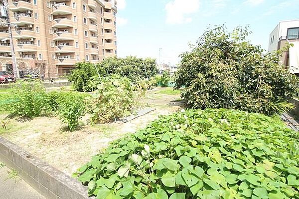 スギドラッグ岡崎上和田店まで　約450ｍ　徒歩約6分。家庭菜園にオススメ！！野菜の栽培から、収穫まで楽しめます。