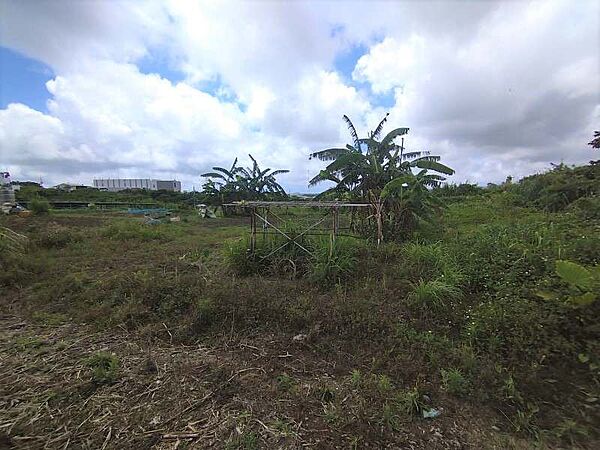 外観：347000022507