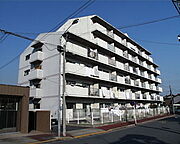 メゾン白菊 6階 築37年3ヶ月の賃貸物件