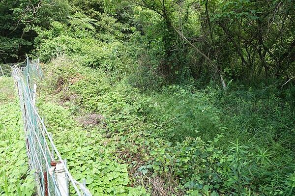 その他屋外