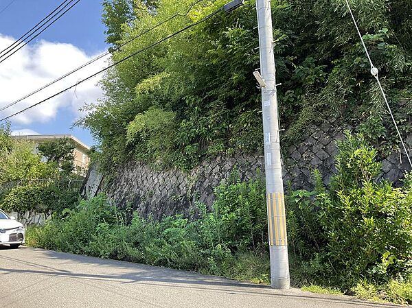 外観：327002229153