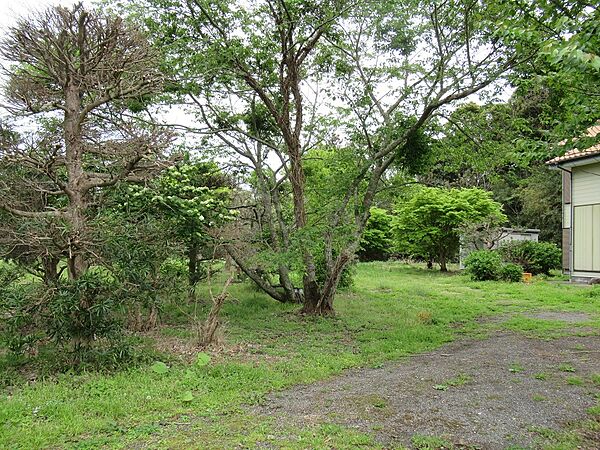 宅地部分の土地