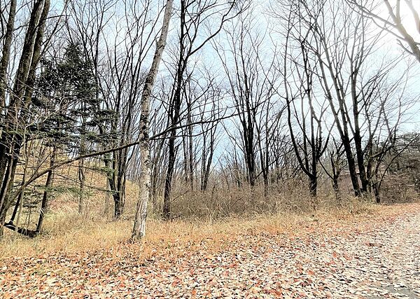 外観：310000074352