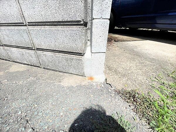 是非現地でご確認ください。