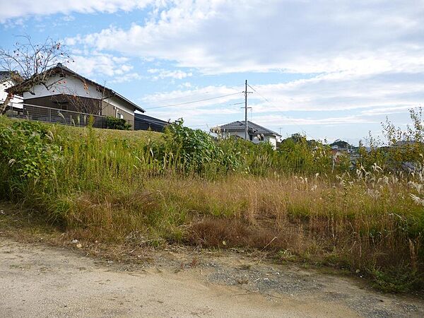 外観：331000016734