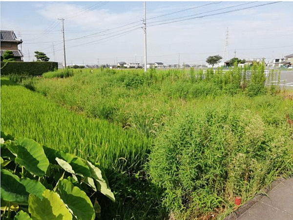 外観：323000471486