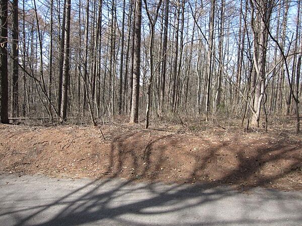 外観：320000022645