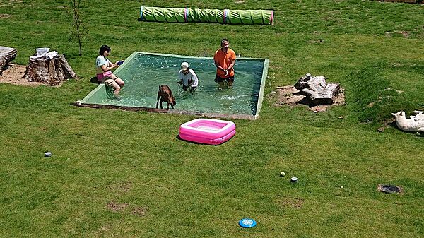 プール付きドッグラン無料