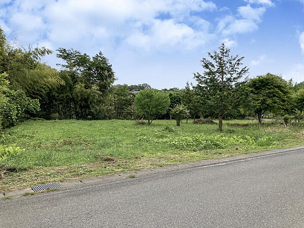 外観：309000073216