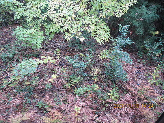 別荘へ行く途中...