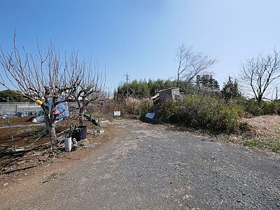外観：土地面積167m2（約50.51坪）