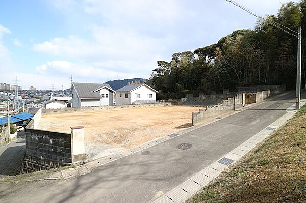 外観：335000031214