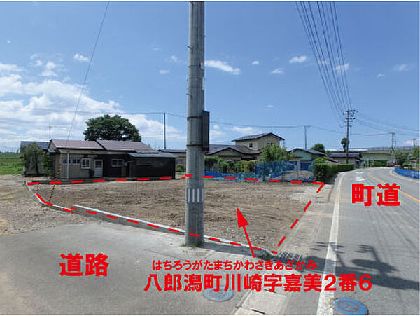 外観：305000002317