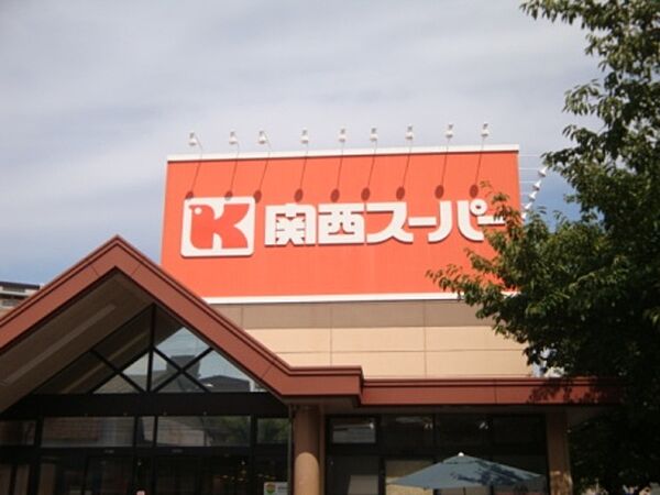 画像17:関西スーパー南江口店 1013m
