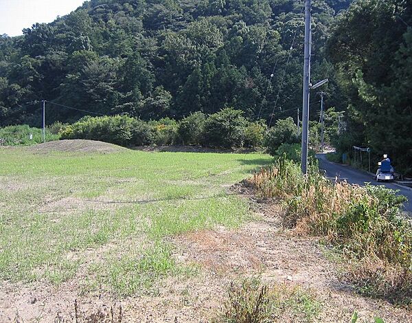 外観：338000047212