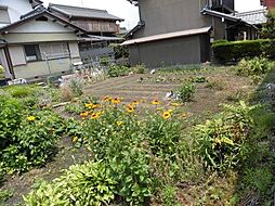 岐阜県羽島市正木町須賀赤松