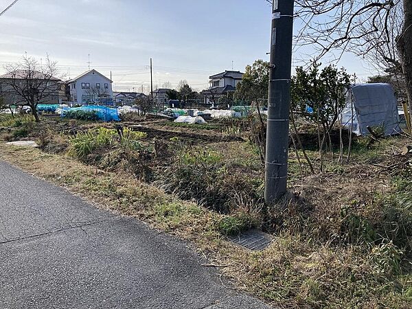 外観：311002105911