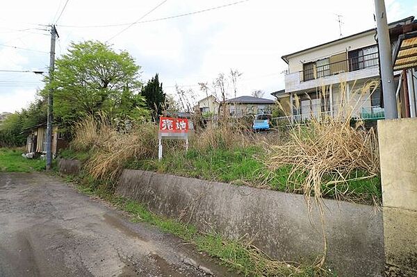 外観：346000023653