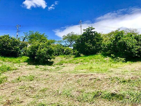 外観：322000155104