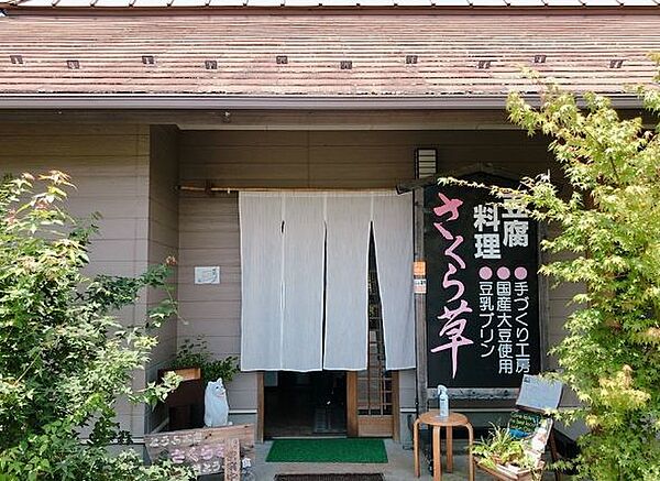 さくら草