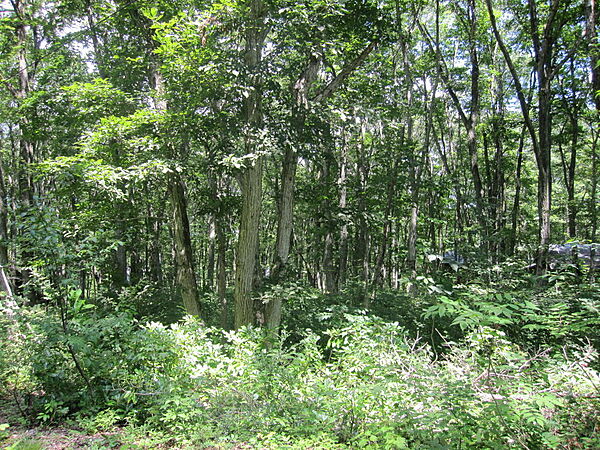 外観：320000022663