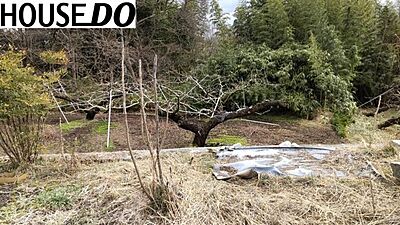 外観:道路から奥まった緑に囲まれた土地です 外観:道路から奥まった緑に囲まれた土地です
