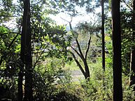 千葉県君津市高水235：物件画像