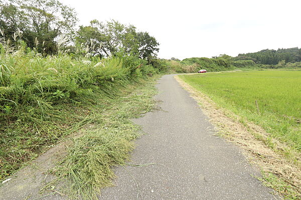 周囲の風景