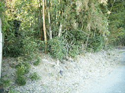 茨城県小美玉市山野790-1