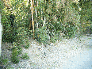 外観：308000158316