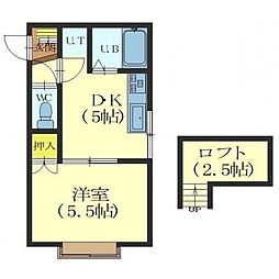 ラピーナ 1階/-