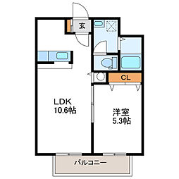 サザンエトワール北大 10階/-