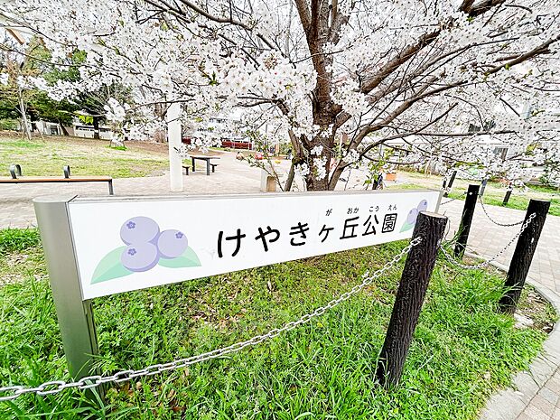 現地から一番近い公園です。