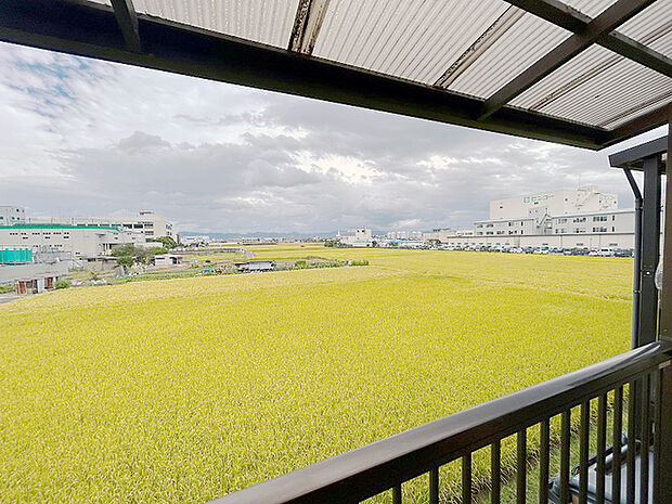 長岡京市神足橋本(3LDK)のその他画像