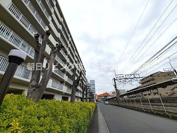 大宮土呂駅前ハイツ(3LDK) 8階/805のその他画像