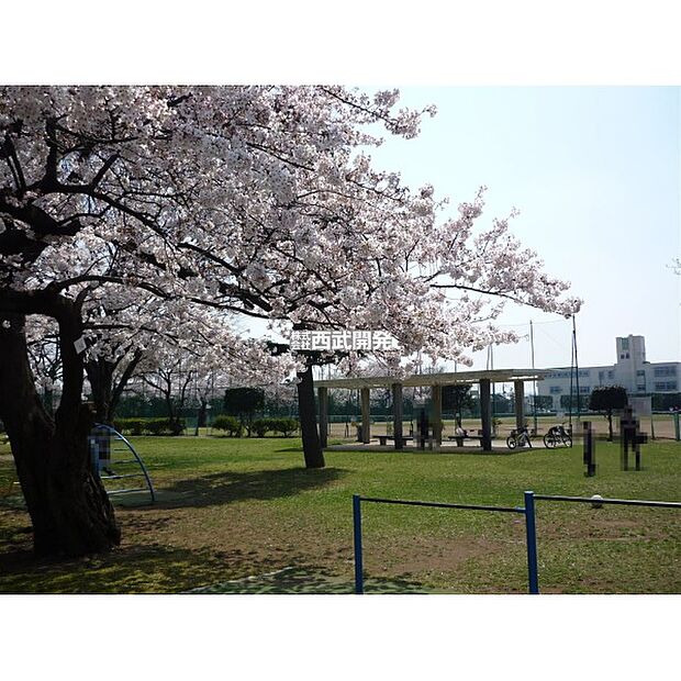 入間市運動公園