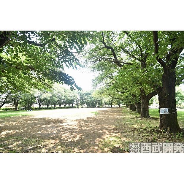 みずほ台中央公園