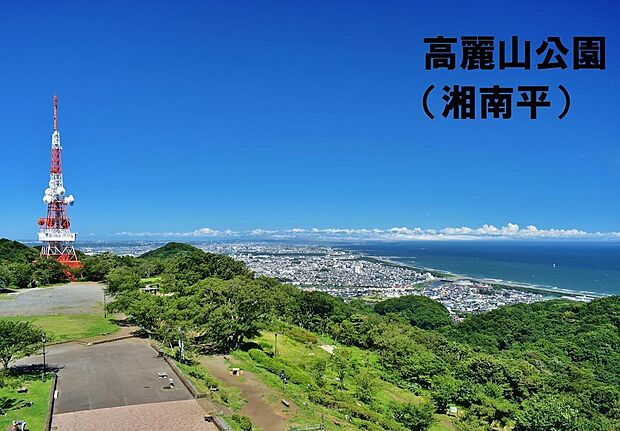 ＪＲ東海道本線 平塚駅まで 徒歩5分(3LDK) 9階のその他画像