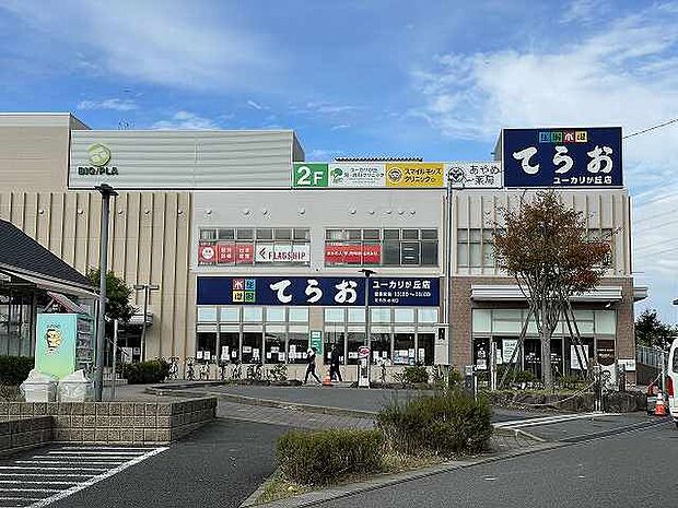 生鮮食品てらおユーカリが丘店　　　まで（800m）