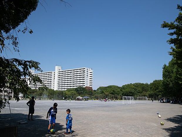 【公園】多目的広場まで481ｍ