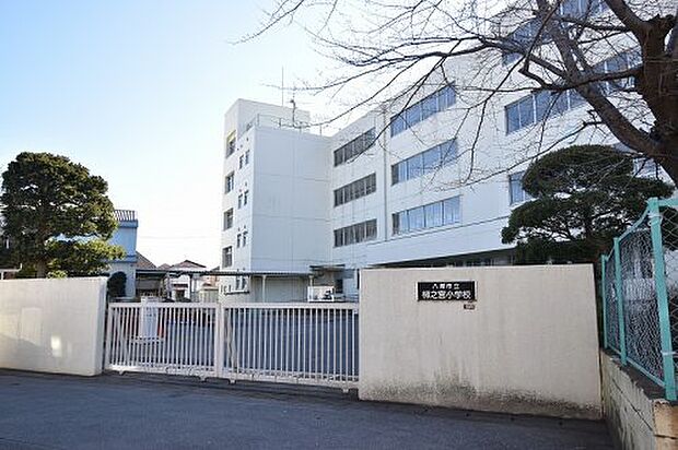 【小学校】八潮市立柳之宮小学校まで731ｍ