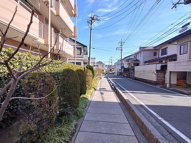 前面道路含む現地写真