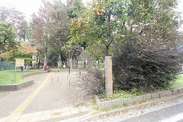 【公園】東中前の森緑地まで500ｍ