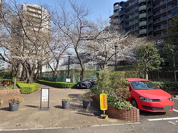 コープ野村クローバー・シティ与野四番館(4LDK) 7階のその他画像